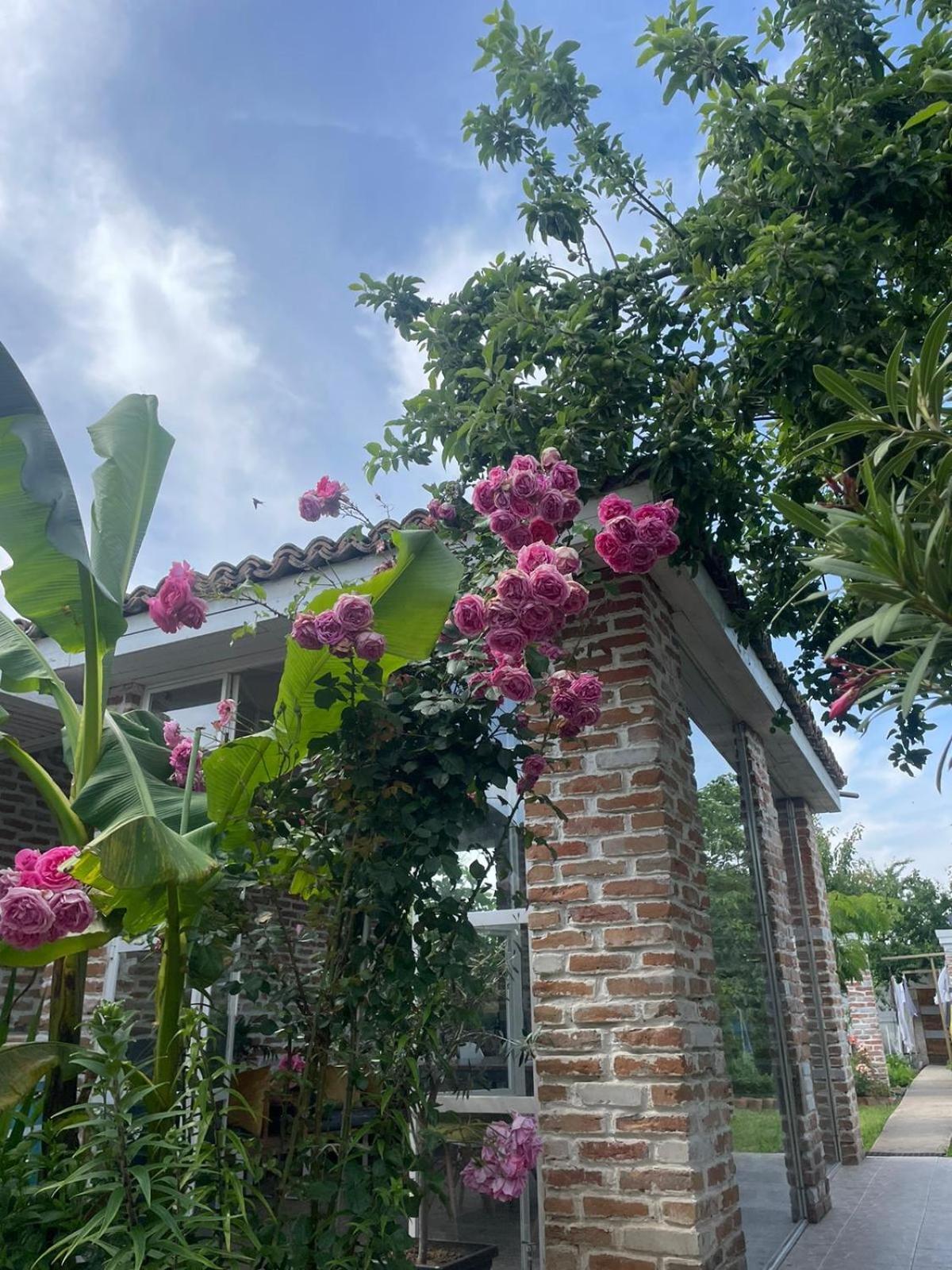 Casa Mediterana Două Mai Εξωτερικό φωτογραφία